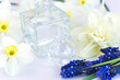 Spring holidays concept, glass vials with essential oil and narcissus and muscari flowers on white background