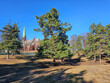Clean and well-groomed pine city park on a bright spring day in Riga, Latvia