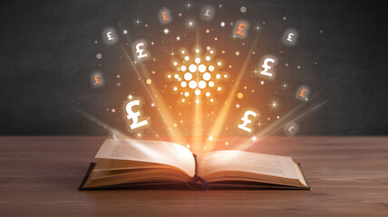 Wall Mural - Open book with currency icons above