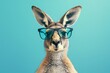 Design a trendy Kangaroo donning fashionable eyewear, set against a minimalist azure background, blending contemporary aesthetics with playful charm.