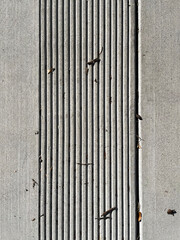 Wall Mural - Segment of a concrete sidewalk