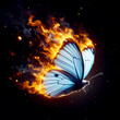 A small white butterfly with fiery wings stands out against a dark backdrop, symbolizing untamed spirit and freedom.