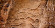 Sandstone rock surface background texture, weathered sandstone