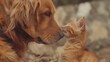 good dog and cat friendship