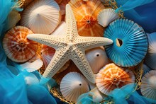 A Beautiful Starfish Surrounded By An Assortment Of Sea Shells
