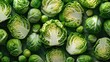 Close-up texture shot of sliced Brussels sprouts and cabbage, focusing on the intricate patterns and vibrant green hues, ideal for backgrounds or abstract art