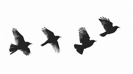 Poster - A flock of birds flying through the air. Suitable for nature and freedom concepts