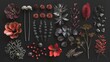 Assorted colorful flowers on dark background, suitable for various design projects