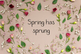 Fototapeta Mapy - Colorful Spring Flower Arrangement With Roses, English Text Spring Has Sprung