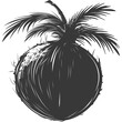 Silhouette Coconut Fruit black color only