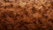 earth texture, dry earth background