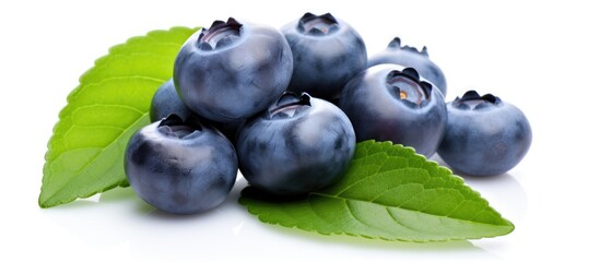 Canvas Print - Fresh blueberries and leaves on a white surface