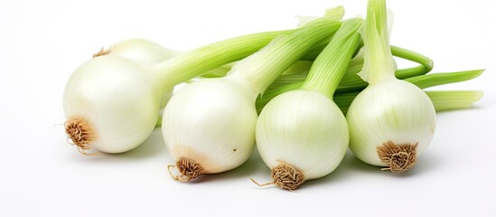 Canvas Print - Several onions close up on a white surface