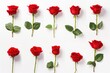 An organized row of red roses against a white background, representing love, beauty, and elegant simplicity. Red Roses in a Row on White Background