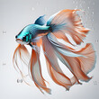 amazing fine art bright azure color Betta fish with long peach fuzz tail and fins posing against grey background. close up. Digital artwork.  Ai generated