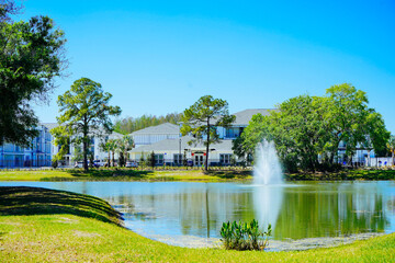 Sticker - Beautiful Florida landscape in spring