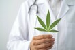 A doctor holding a marijuana leaf
