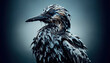 Close-up of a seabird covered in oil, highlighting the tragic impact of oil spills on wildlife