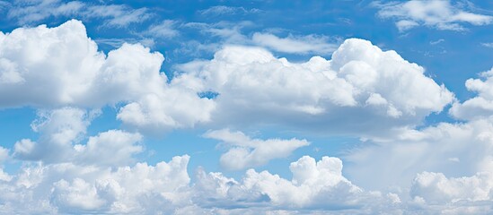 Wall Mural - The sky is filled with numerous clouds floating above a vast expanse of green grass in a field