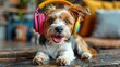 A happy puppy adorned with colorful headphones enjoys the beat, perfect for music promotions