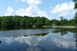 Teich im Schlosspark von Ballenstedt