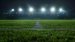 Floodlights illuminate the field as the game goes on into the night.