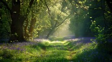 A Serene Woodland Glade Carpeted With Bluebells, Illuminated By Dappled Sunlight