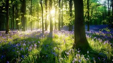 A Serene Woodland Glade Carpeted With Bluebells, Illuminated By Dappled Sunlight