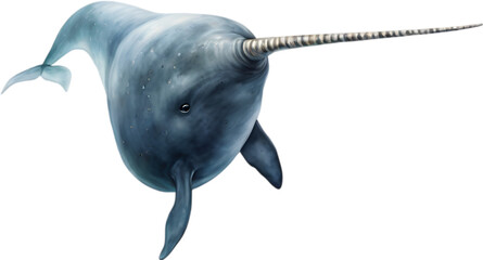 Watercolor painting of a cute Narwhal.