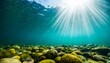 underwater fresh water green background with sun rays under water