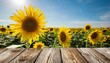 beautiful background of an empty plank table and a sunflower of the year with a place for the product lob lettering and a beautiful background of a field of sunflowers