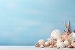 Shells and stones arranged against a soft blue background for text or design elements, allowing for versatile use in a variety of creative projects