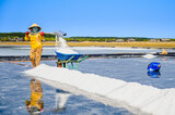 Fototapeta Londyn - A woman is harvesting salt in Can Gio district, a suburban district of Ho Chi Minh City, Vietnam.