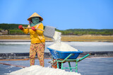 Fototapeta Londyn - Close-up photo of a woman scooping coarse salt with a shovel onto a wheelbarrow to transport to her warehouse in Ly Nhon commune, Can Gio district, Ho Chi Minh City, Vietnam