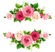 Banner with red, pink, and white rose flowers and green leaves. Vector floral banner
