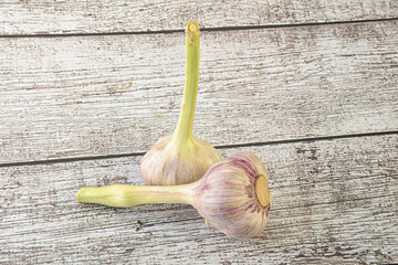 Two Young garlic over background