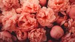 Floral desktop wallpapers HD 8K wallpaper Stock Photographic Image
