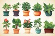 Popular Potted plants illustration on solid background, in pots - philodendron, ficus, alokasia