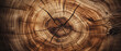 Natures time capsule. A detailed view of a tree trunk cross-section, revealing intricate growth rings and unique patterns. Background for design