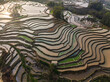 Close up view of rice terraces at sunrise in Yunnan - China, Unesco World Heritage Site