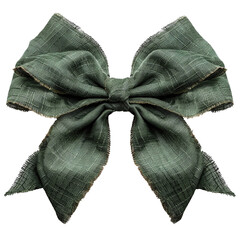 Wall Mural - natural green ribbon material isolated against transparent background