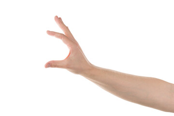 Wall Mural - adult man hand hold something isolated on white background