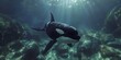 Majestic Killer Whale Documenting the Dramatic Underwater World of Marine Ecosystems