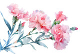 Fototapeta Do akwarium - チューリップの花（水彩画）