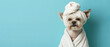 Exhibiting the back of a dog in a matching towel set against a placid blue background, gives a relaxed and playful air