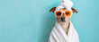 A whimsical scene of a dog clad in a towel and turban against a sky blue background suggesting comfort and offbeat leisure