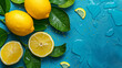 Illustration on theme big set different types citrus Citrus banner health