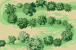 Hand drawn trees on the  green field top view illustration. Different plants and trees (View from above) Nature green spaces. Vector illustration.