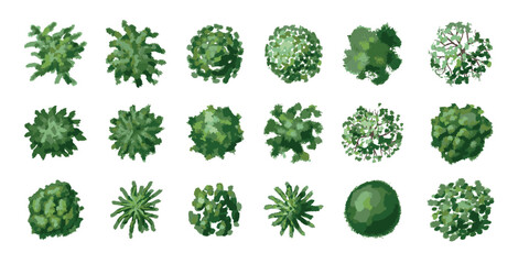 Hand drawn trees top view illustration. Different plants and trees vector set for architectural or landscape design. (View from above) Nature green spaces. Vector illustration.