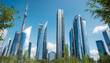 Sky line with plants in a modern city with a blue sky colourful background